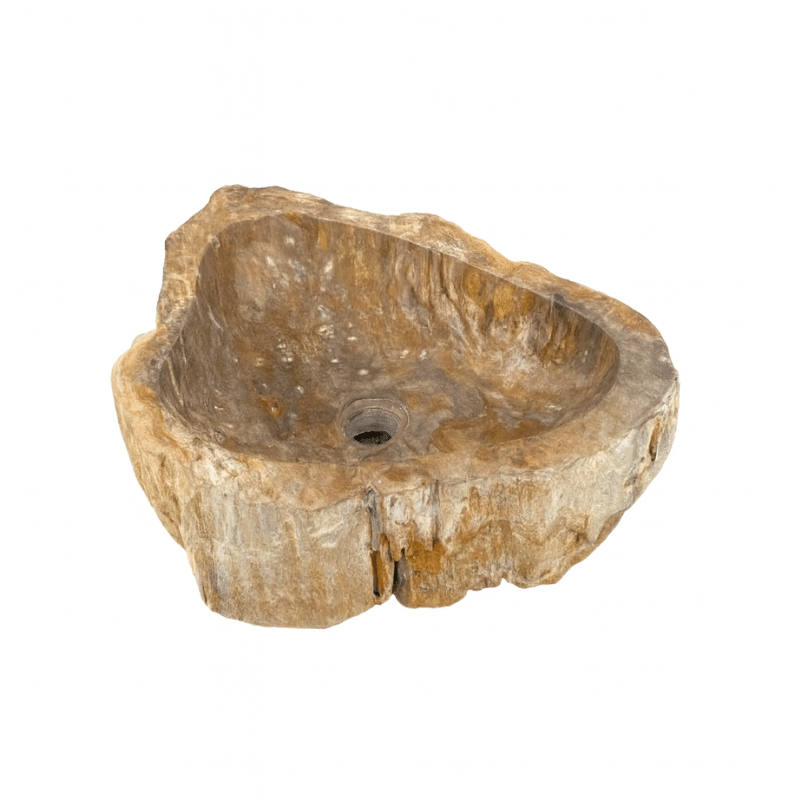Vasque Fossile Bois