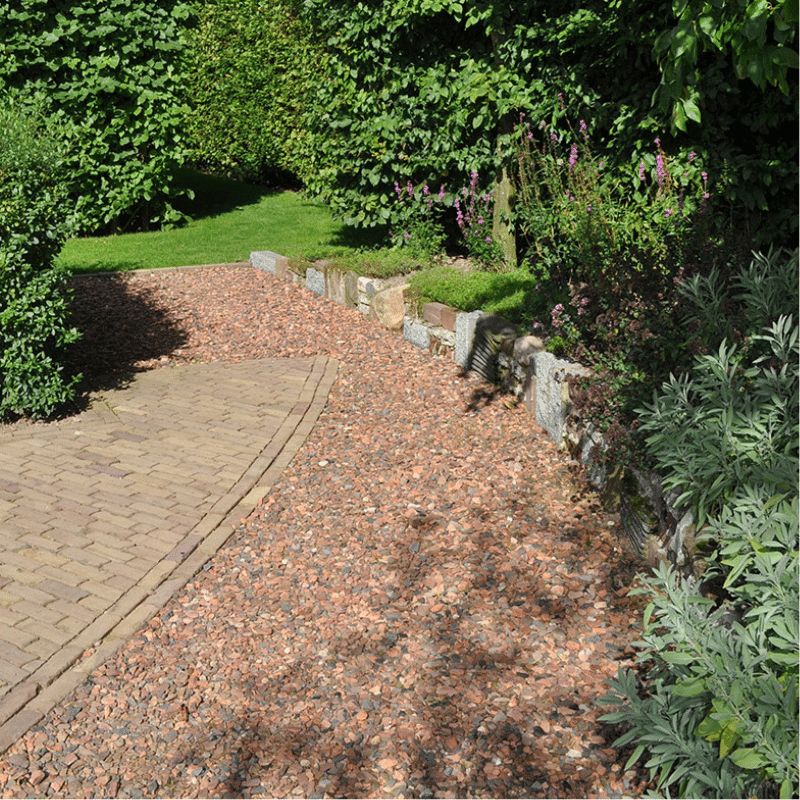 Schiste Rouge – Image 2