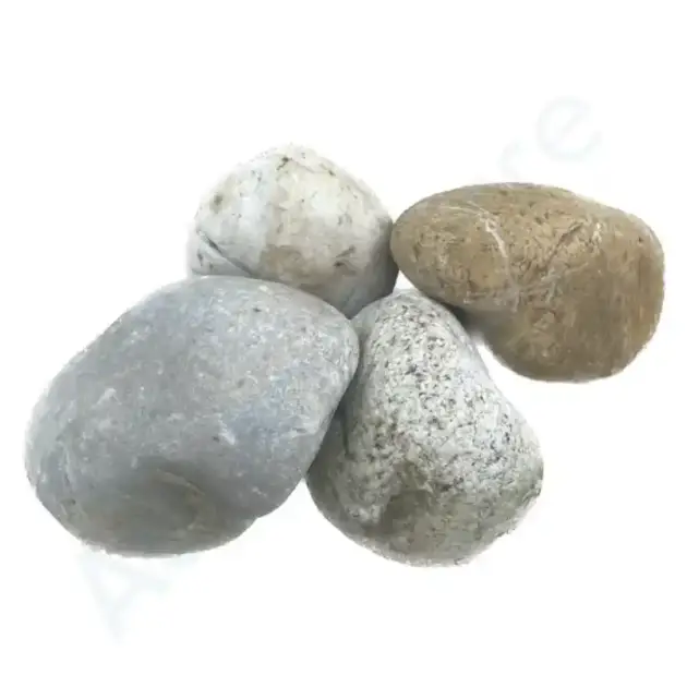 Pierre A Gabion Galet De Mer