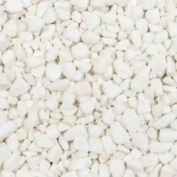 Pur Blanc Roulé