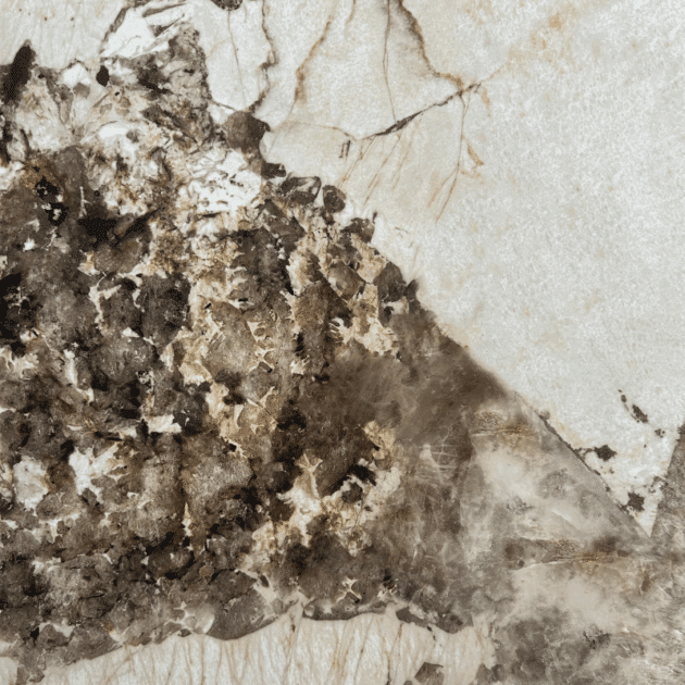 MARVEL Gala Desert soul