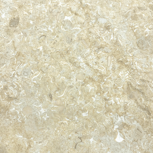 Sunny beige vieillie