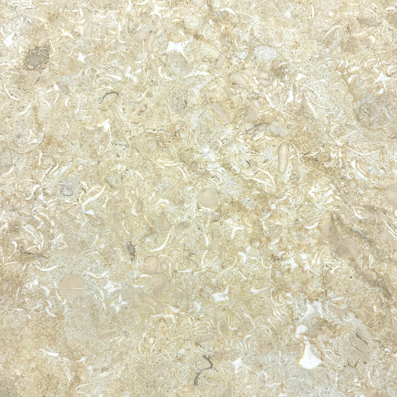 Sunny beige vieillie